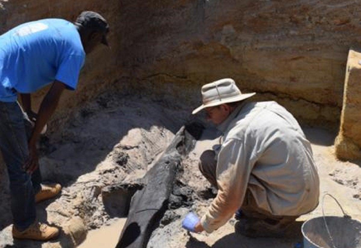 Archaeologists have uncovered the earliest extant evidence of a wood structure, dating back almost half a million years.