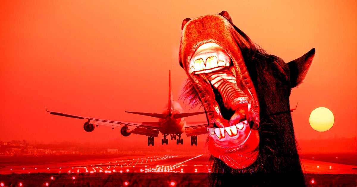 A Boeing 747 had to turn back and return to New York JFK after a horse managed to escape from its stall inside the airliner.