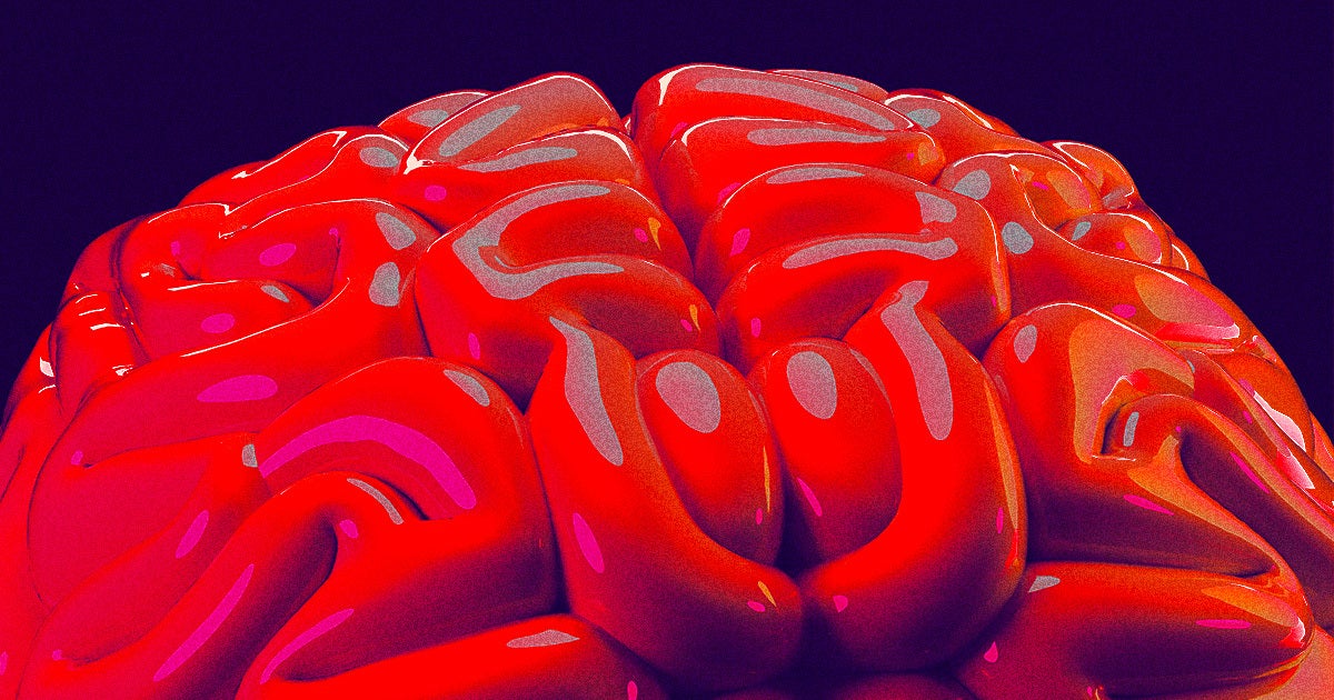 Elon Musk's Neuralink brain-computer interface company is apparently ready to begin its robot-assisted brain chip implantation.