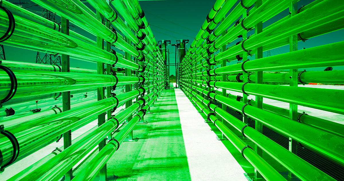 Many companies have recently rushed to invest billions into carbon removal technologies in order to mitigate emissions.