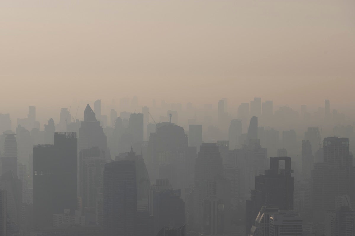 The oil executive-led COP28 climate conference in Dubai may have glittery solutions, but experts say that reducing emissions is the only way.