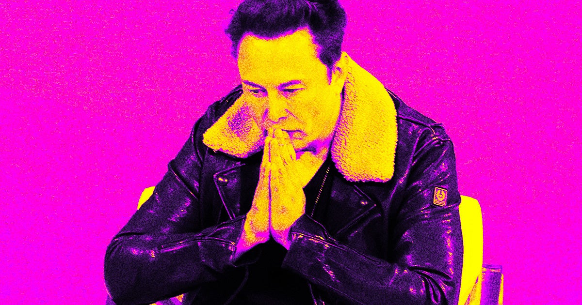 In an exchange with another AI guru, Elon Musk was apparently left "speechless" when presented with a problem with his Mars colonization plan.