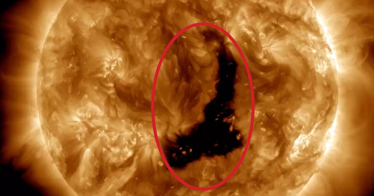 A massive hole opened up in the Sun's atmosphere over the weekend, measuring more than 60 times the diameter of the Earth across at its peak.