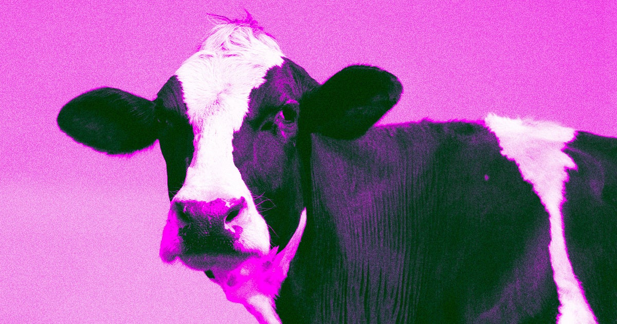 Japanese engineers have successfully test-fired a space rocket engine, which runs on — not even joking — locally-sourced cow poop.
