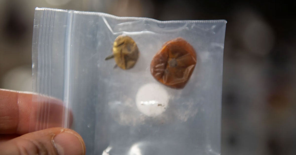 Astronauts on board the International Space Station have made a startling discovery: the husks of two old and dried-out tomatoes.
