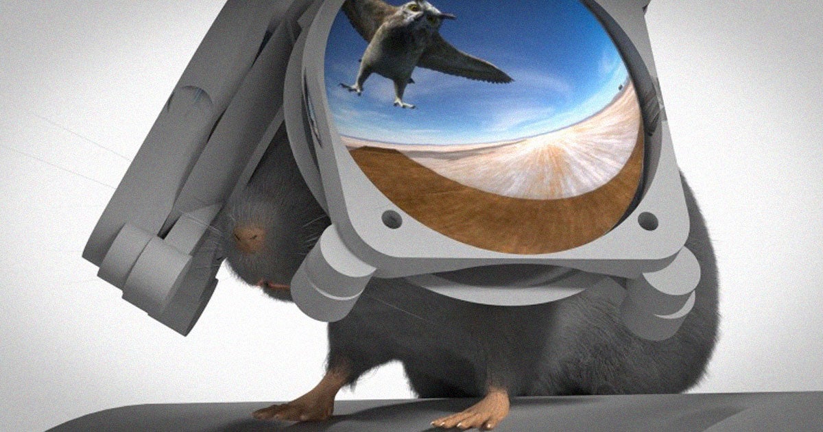 Researchers at Northwestern University have built a massive pair of virtual reality goggles for mice to study how their brains work.