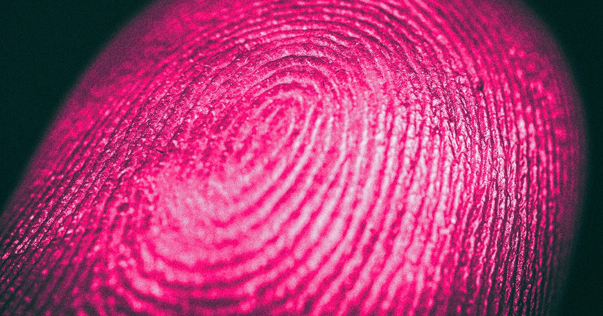 The researchers trained an AI model on over 60,000 fingerprints, finding similarities they claim have gone overlooked.