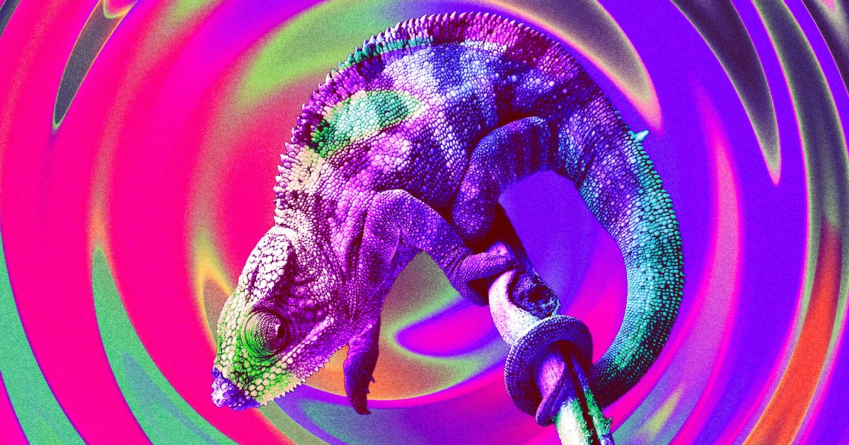 A new PBS documentary captured the last moments rare Madagascan chameleon bursting into a vibrant display of color as she died.