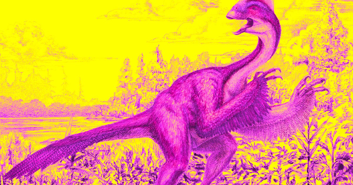 The fossil has led to the discovery of a new dinosaur species nicknamed the "pharaoh's dawn chicken from hell."