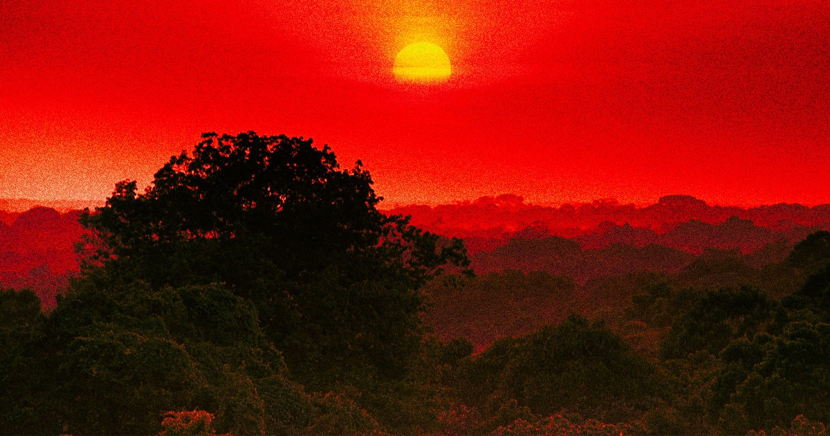 Large parts of the Amazon are nearing an irreversible “tipping point” and collapse due to deforestation and climate change, scientists warn.