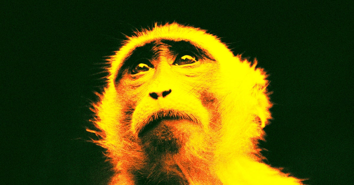 The Royal Zoological Society of Scotland has recaptured the escaped Japanese macaque on the lam in the Scottish Highlands.