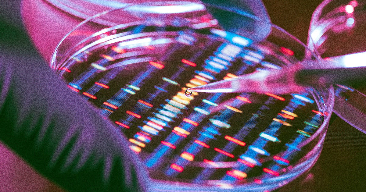 For decades, most people have believed that genes are the blueprint for life — but that perception, a pair of experts argue, falls short.