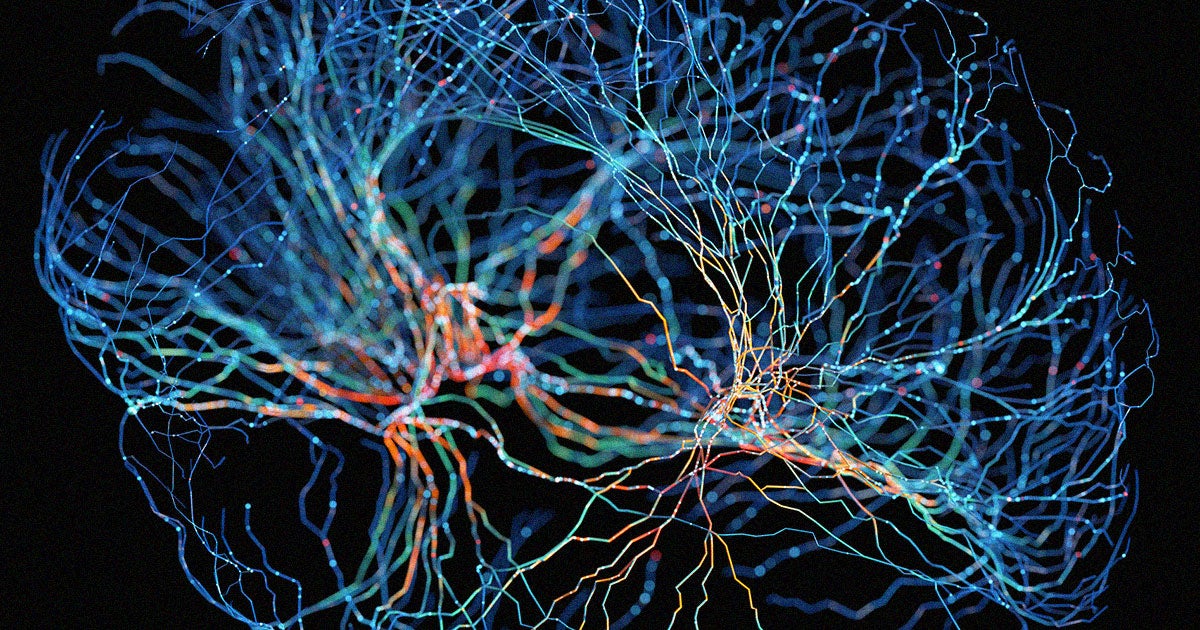 A team of scientists at the University of Wisconsin-Madison claim to have 3D-printed functional human brain tissue for the first time.