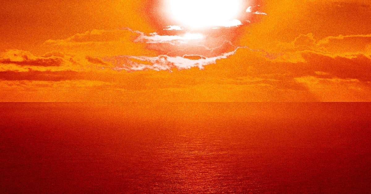 As last year's record-breaking ocean temperatures cease to slow down, warming waters around the globe continue to alarm scientists.