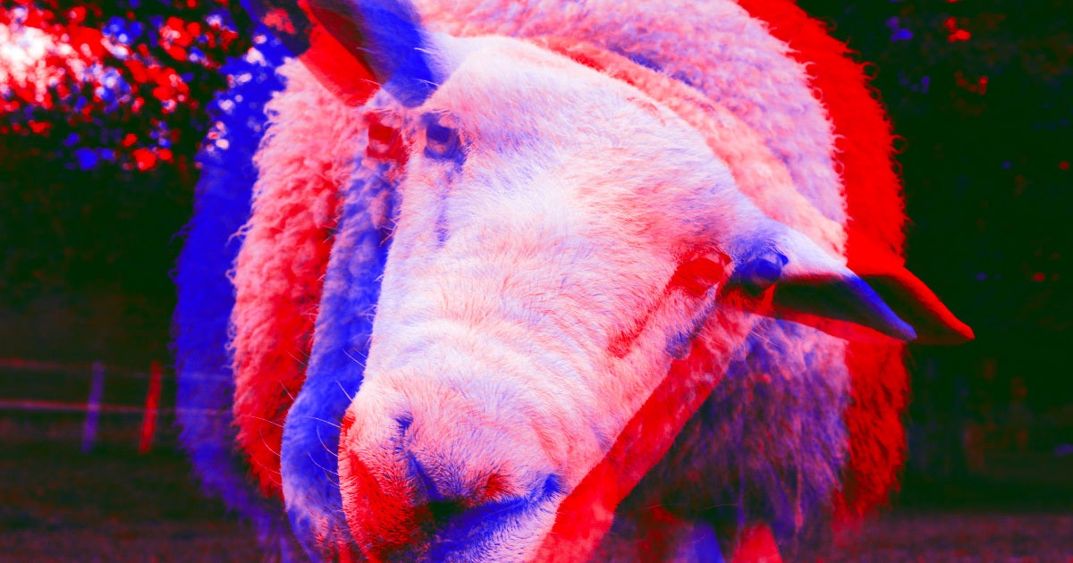 A Montana man was trying to create giant hybrid sheep from cloned embryos but his actions violated international and federal wildlife laws.