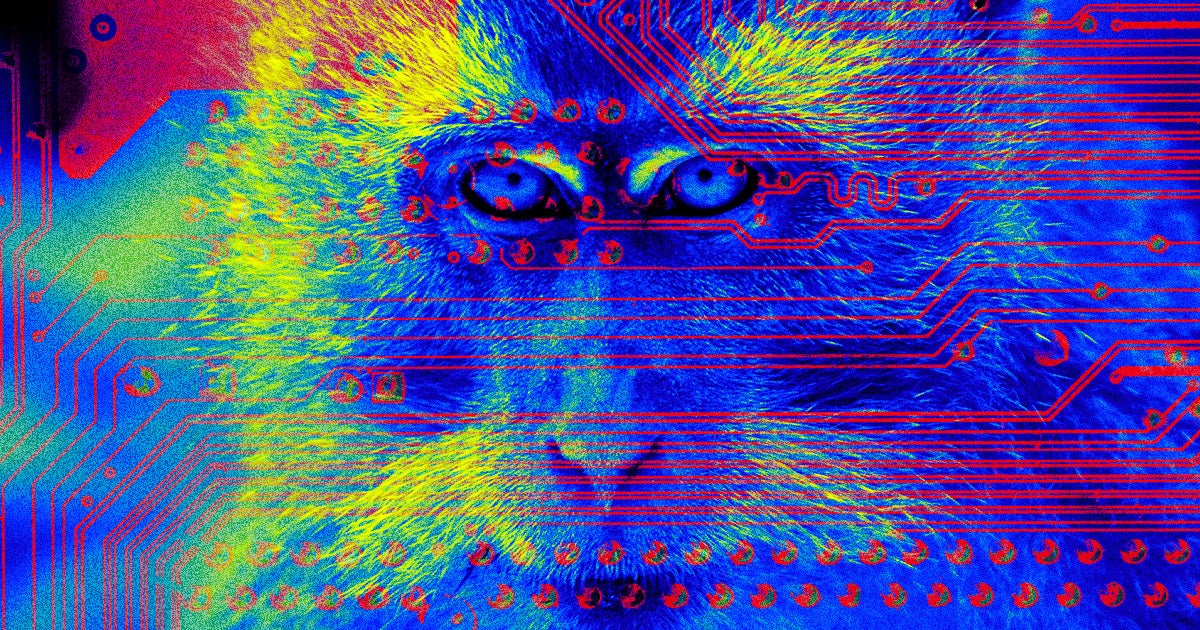 A Chinese company announced that they have successfully developed a brain chip and implanted it into a monkey.