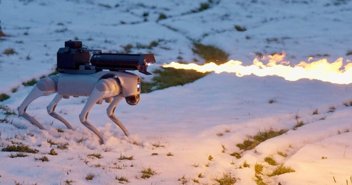 The flamethrower on the "Thermonator" has a fire breathing range of up to 30 feet, for those willing to shell out nearly $10,000.