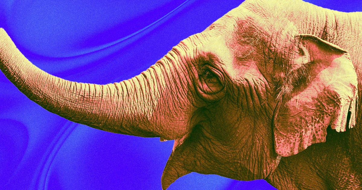 An elderly elephant named Viola was found ambling through Butte, Montana on Tuesday after escaping a traveling circus.