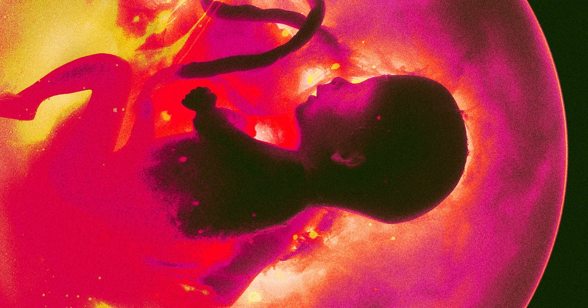 A former Thiel fellow has launched a startup allowing parents to pick which embryos they want to incubate based on which has the best genes.