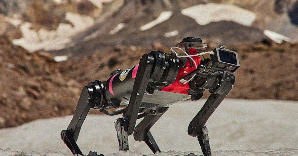 NASA is quietly teaching a robot dog how to walk on the Moon. Researchers just let one loose on the side of a mountain in Oregon.