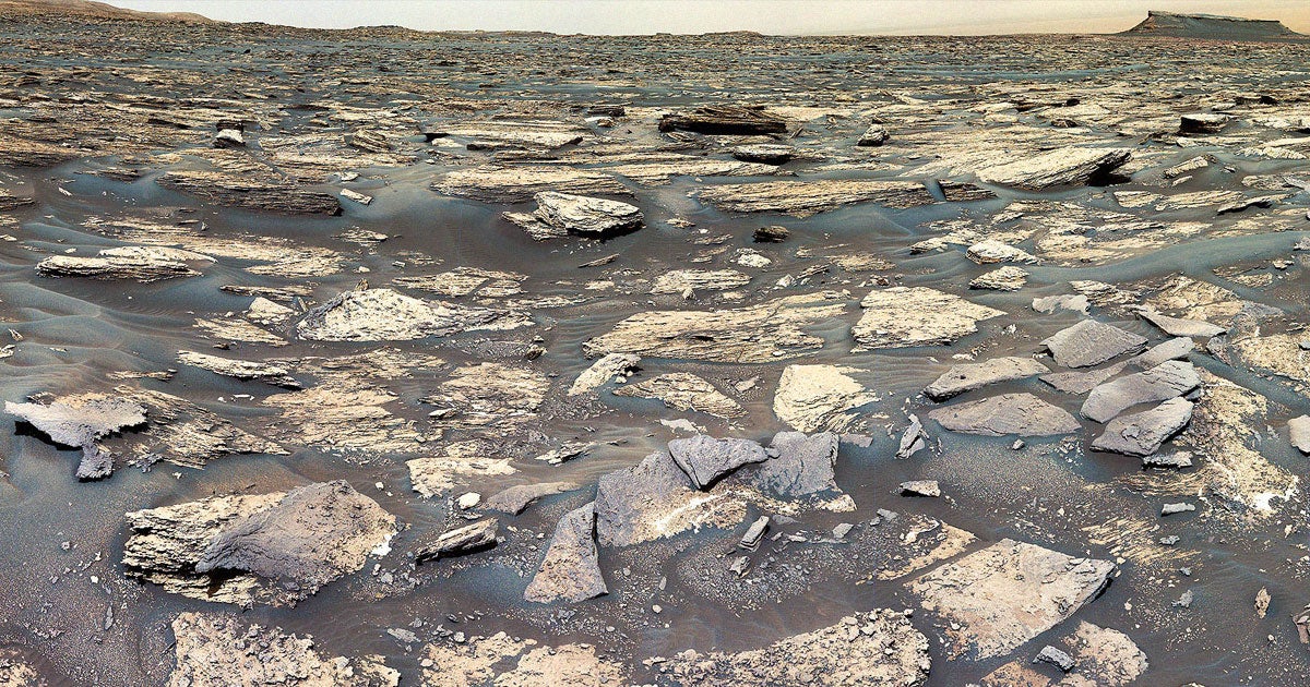 NASA's Curiosity Mars rover has discovered rocky material that's riddled with manganese, a potential sign of ancient life.