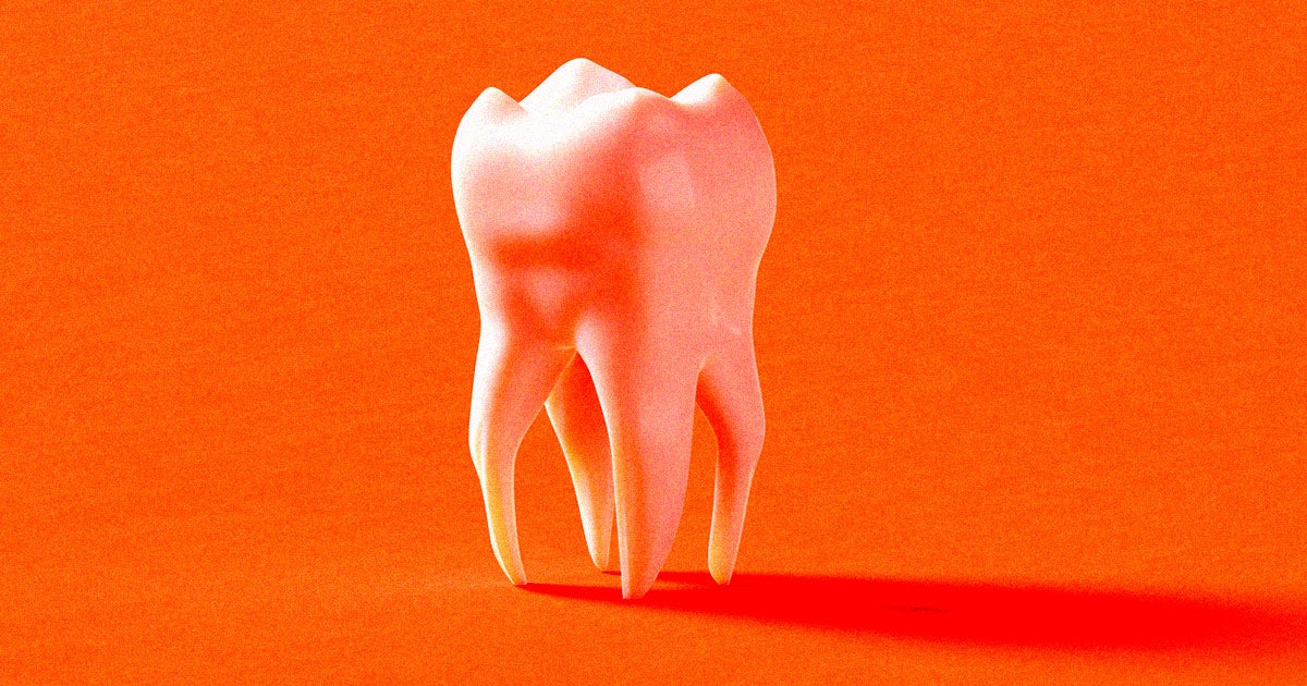 Japanese scientists are set to kick off the world's first clinical trials of "tooth regrowth medicine" at the Kyoto University Hospital.