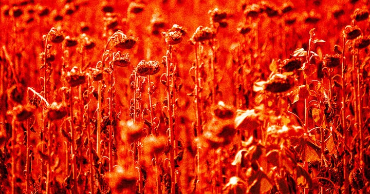 An expert warns that over ten thousand people could die as the result of a single heat wave, sending hundreds of thousands to the hospital.