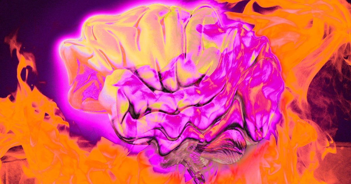 The neurons of our brains may exist at a critical point between two states of matter that can't be distinguished,