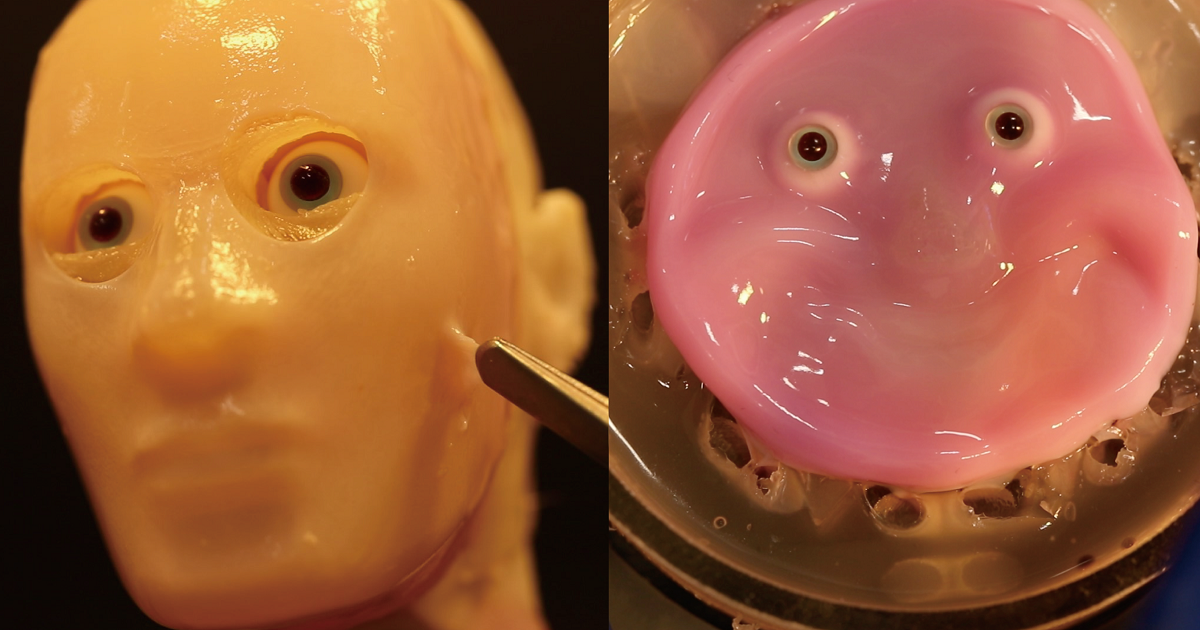 Scientists have grown living skin in a lab and attached it to a robotic face, so that it can create rudimentary facial expressions.
