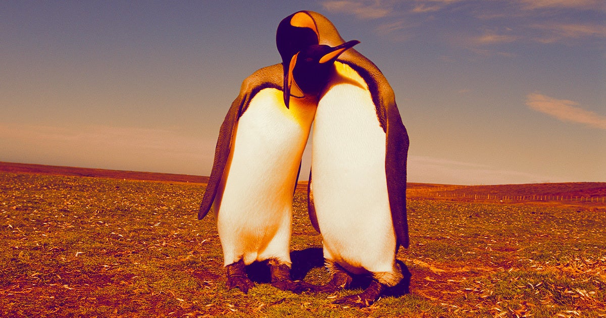 Scientists have long observed animals having gay sex — but those observations have rarely made their way into academic papers.
