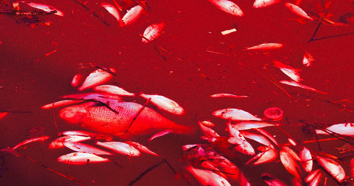 Beware the three horsemen of the ocean apocalypse, according to a new study: extreme heat, acidification, and deoxygenation.