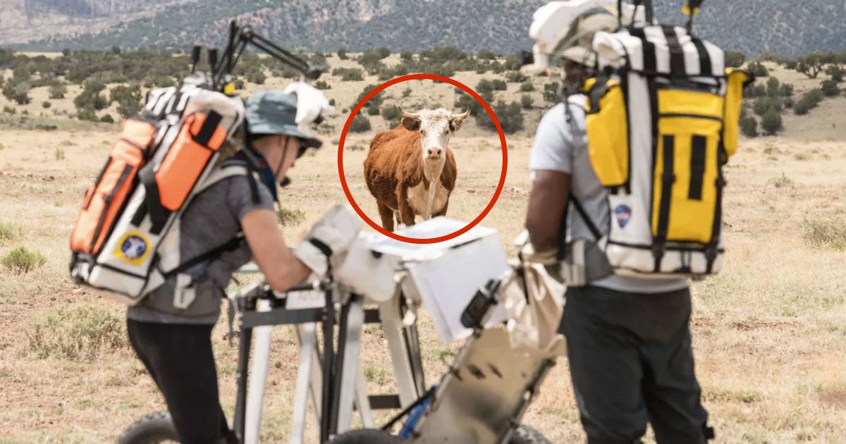 NASA astronauts Kate Rubins and Andre Douglas simulated several "moonwalks" in the northern Arizona desert, making for an unusual photo opp.