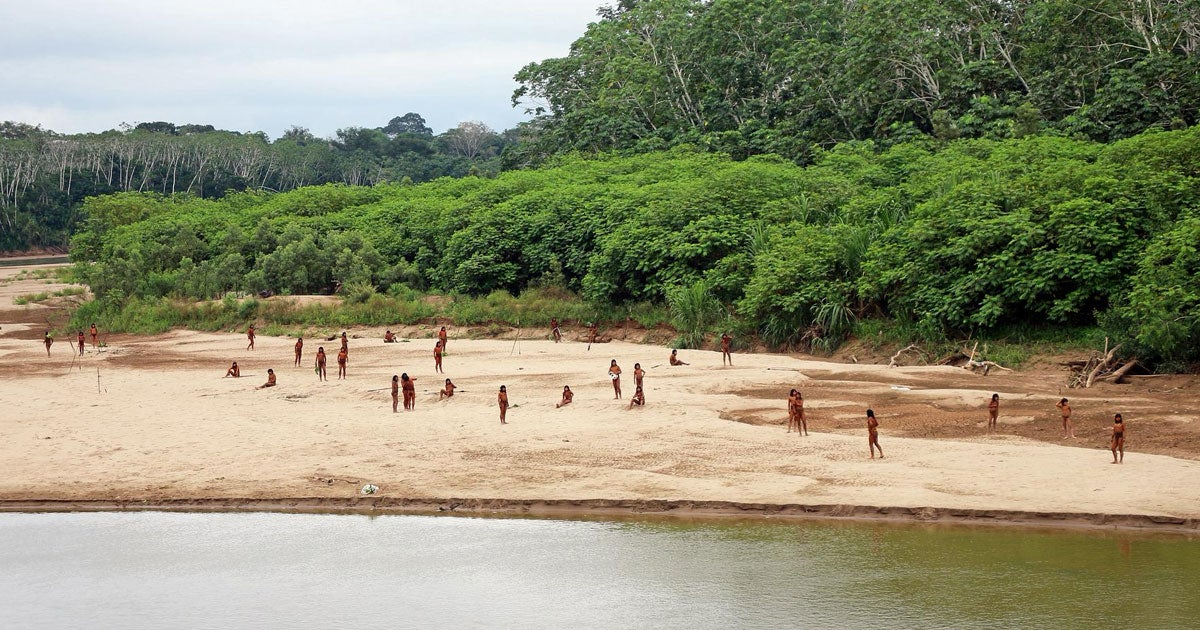 Fascinating footage shows members of one of the most isolated Indigenous tribes in the world leaving the rainforest in the Peruvian Amazon.