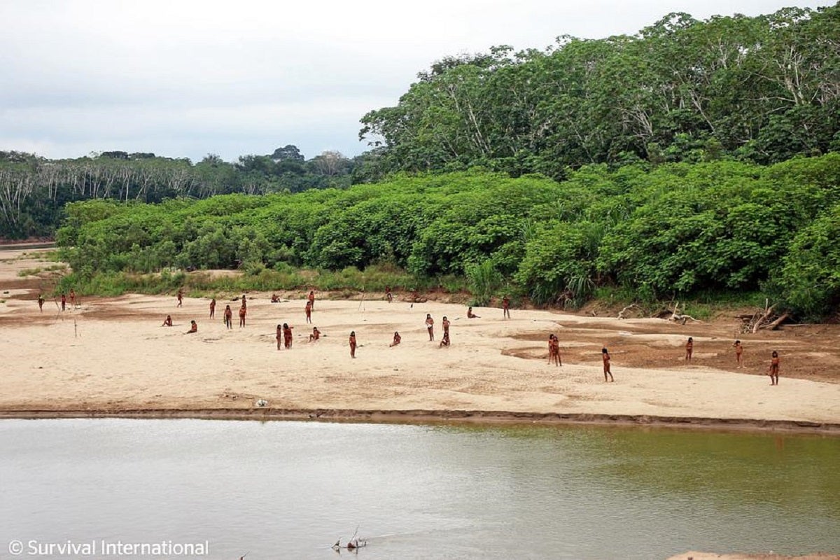 An isolated tribe in the Amazon rainforest used bows and arrows to head off loggers who were likely encroaching on their land. 