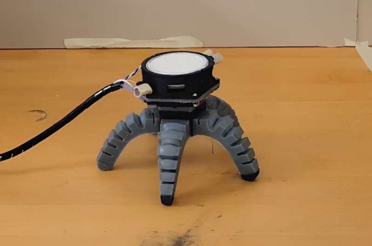 Engineering researchers at Cornell have come up with a novel way to control a walking robot: with mushrooms.