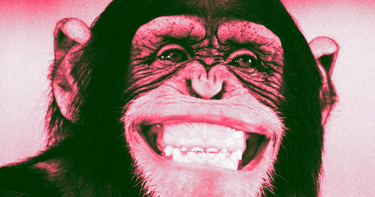 Researchers have analyzed sound recordings of apes appearing to say the word "mama," and believe they've found evidence of human-like speech.