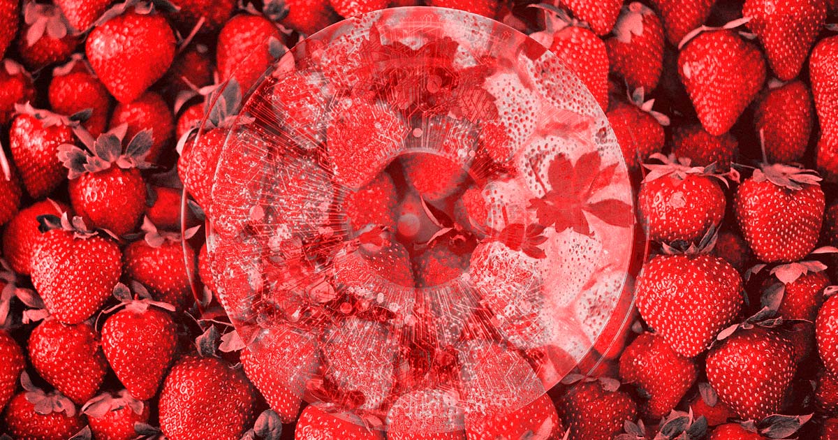 OpenAI is rumored to release an AI model internally dubbed "Strawberry" that has a "human-like" ability to reason as soon as this week.