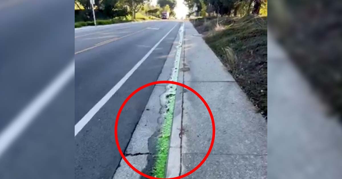 A strange, lime-green goo was spotted gushing out of Tesla's engineering headquarters in Palo Alto, California earlier this month.