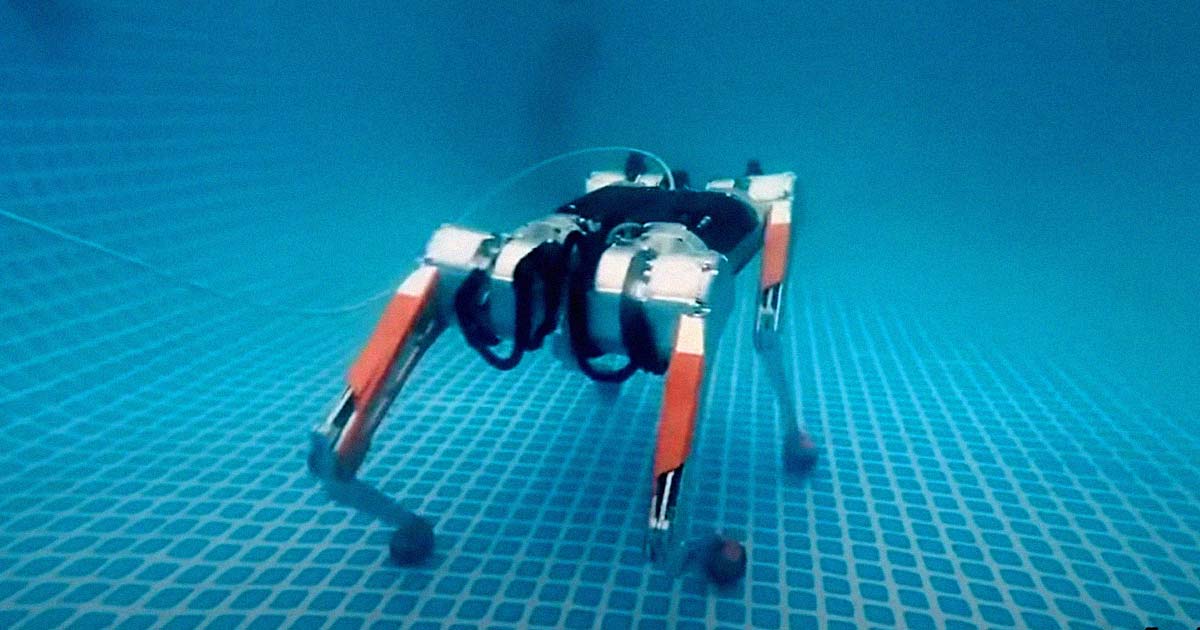 A Polish robotics company has created the "Honey Badger," a robot dog that can walk fully underwater and aid during industrial inspections.