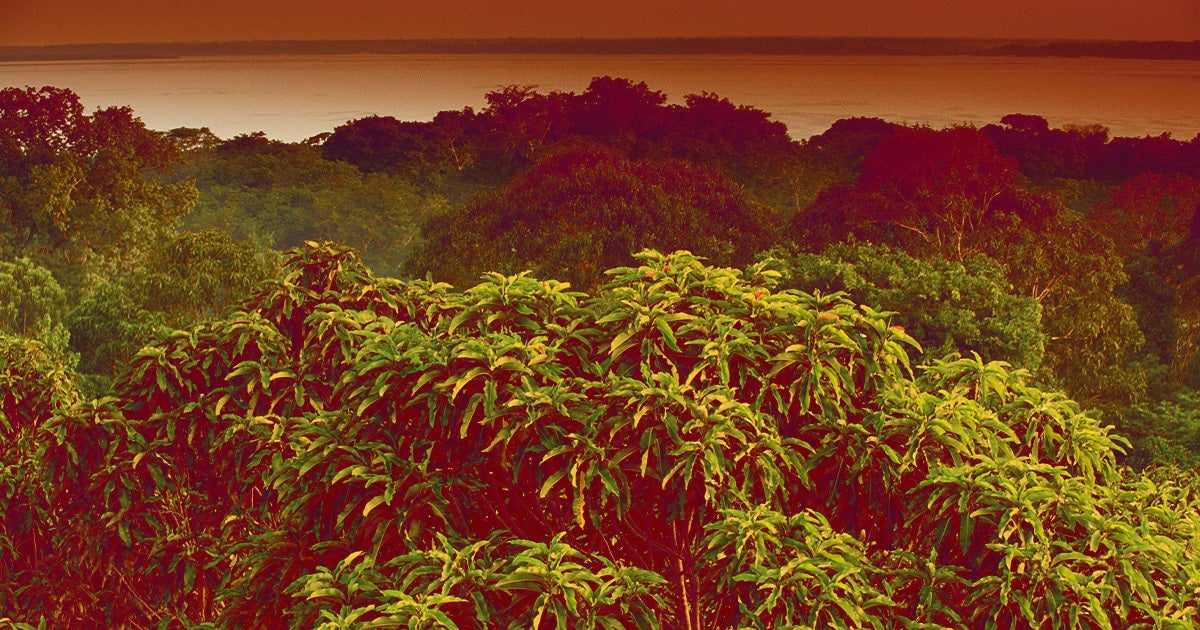 Archaeologists have begun uncovering a 250-year-old lost city in Brazil's Amazon rainforest — and are using advanced technology to survey it. 