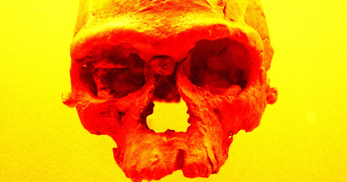 Scientists suggest a "large-headed" group of extinct humans once lived around the same time as homo sapiens more than 100,000 years ago.