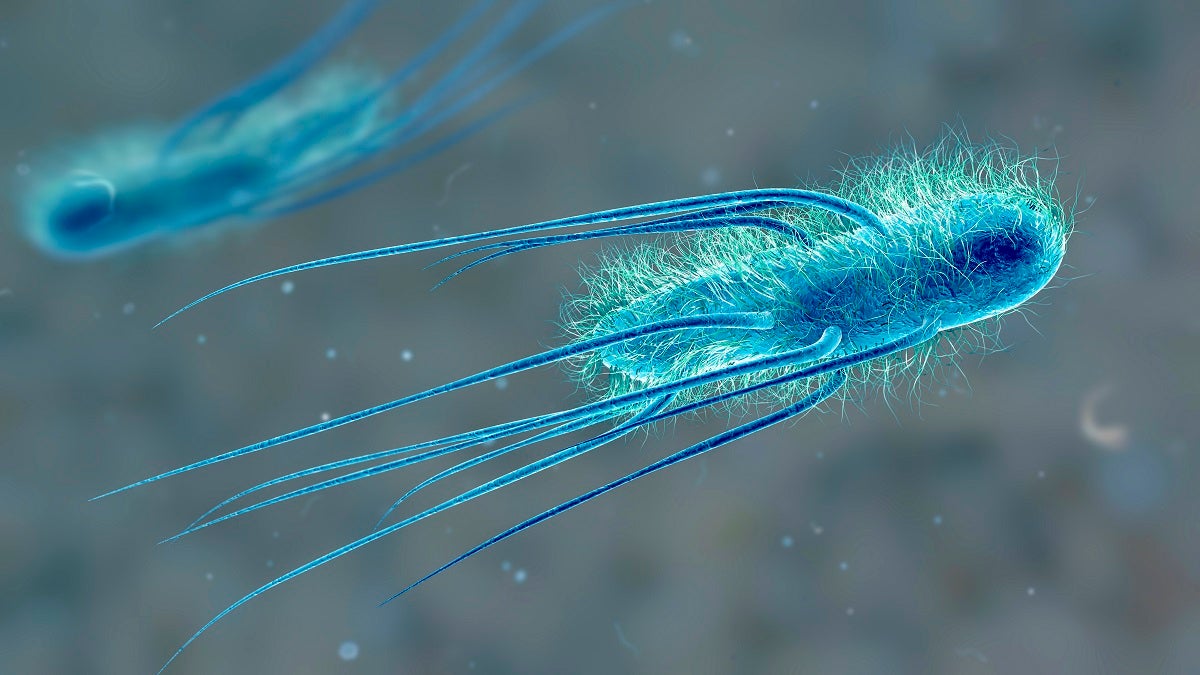 Scientists Say They’ve Created a New Form of Life More Perfect Than the One Nature Made