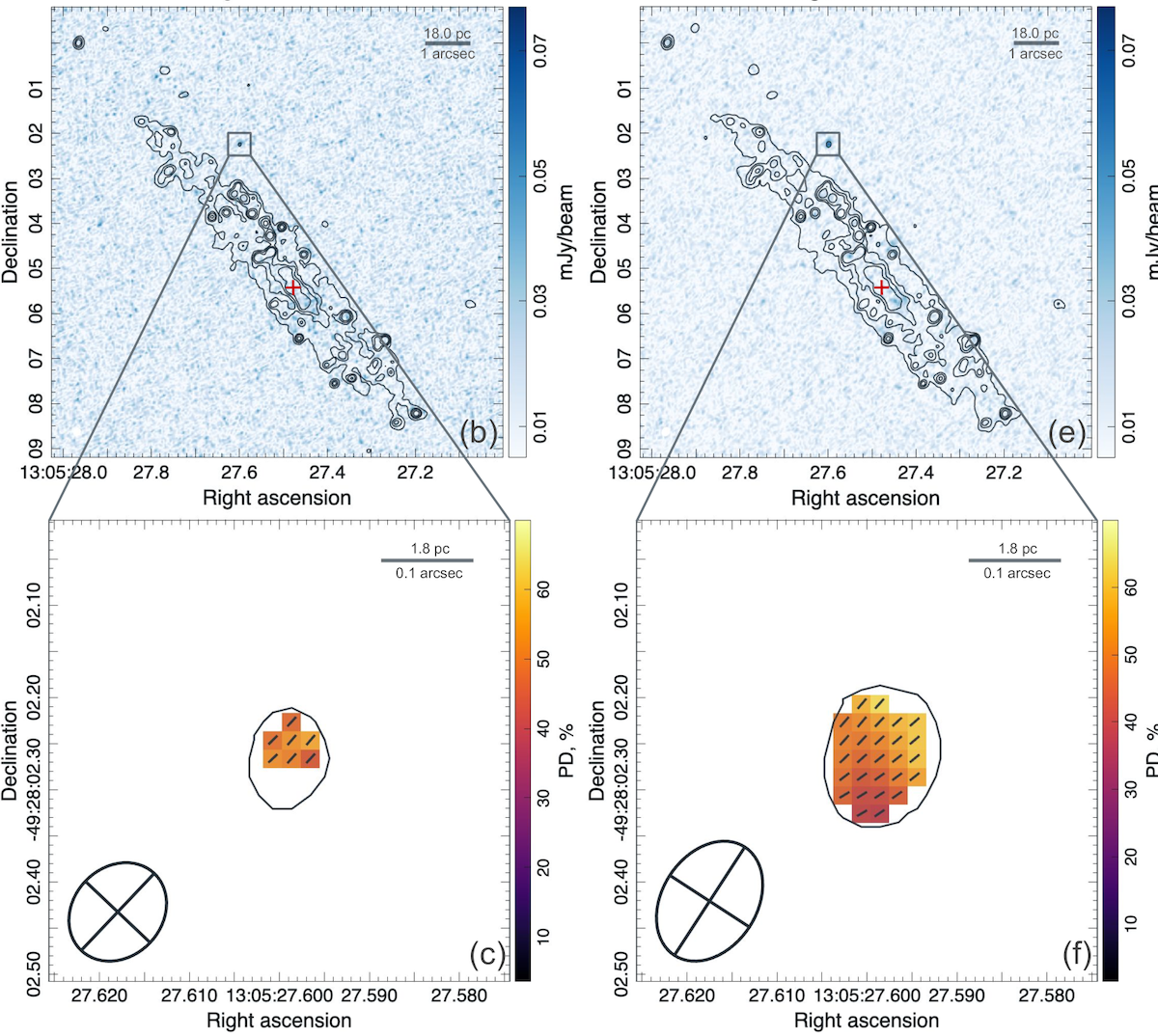 ALMA observational graphics of the galaxy NGC 4945 and the cosmic object Punctum. Left column graphics were taken on October 11, 2023, and right column graphics were taken two weeks later on October 25, 2023. Upper two graphics show polarized intensity with brightness contours, the galaxy's nucleus marked X, and Punctum in the small, square box. The bottom two panels show Punctum's relative brightness as compared to its surroundings. 