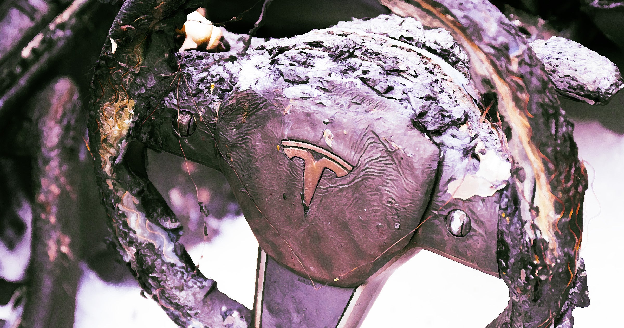 A man and two kids were burned to death after the Tesla they were riding in slammed into a tree and burst into flames.