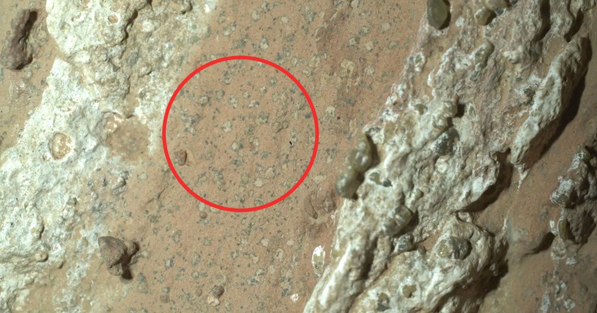 NASA has announced that its Perseverance Mars rover spotted "potential biosignatures" in an ancient dry riverbed last year.