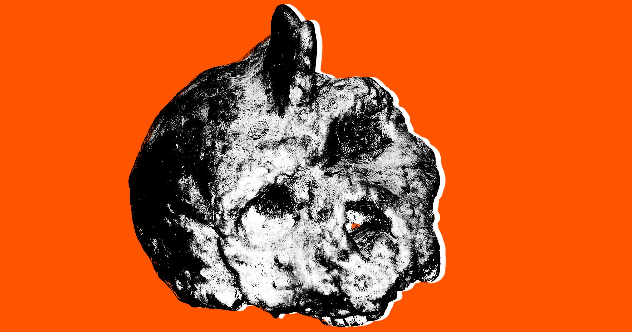Scientists are working on a mystery involving a strange skull, neither Neanderthal nor human, that was found fused to a cave wall.